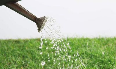 九画属水的起名吉利字有哪些（九画属金的吉字取名）