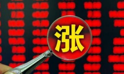 招财大牛猫最新消息进展（招财大牛猫回应）