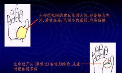 男左手相学图解算命大全（男生左手手相详细图解）
