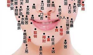 十二宫面相图解（面相分析面相12宫）