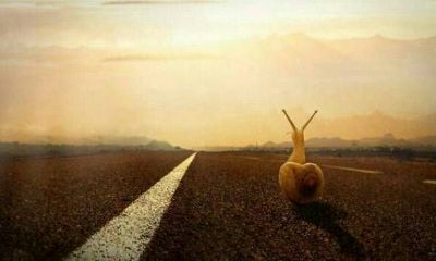 突然梦到逝去已久的亲人（突然梦到已故多年的亲人）