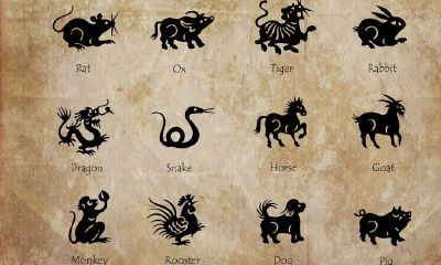 12生肖特性大全（十二生肖的特征和本领）