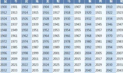 属兔今年多少岁（属兔的全部岁数）