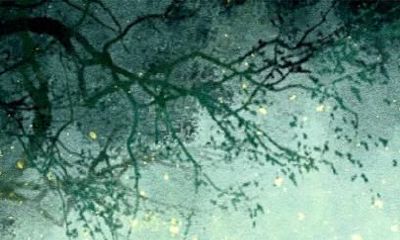 属鸡的小人是什么属相（生肖鸡一生的小人）