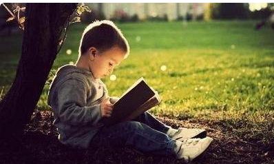 属牛的名字里面带什么偏旁最好（属牛人的名字适合带什么偏旁）