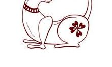 今日属蛇人的整体运势（属蛇的人今日运势）