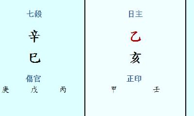 日柱乙亥时柱辛巳（滴天髓乙亥日柱）