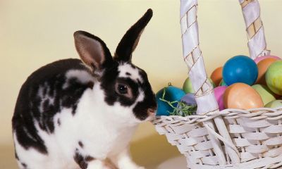 2023属猴的人会有牢狱之灾吗（属猴今年会有牢狱么）