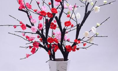 客厅摆放什么植物旺财（客厅养什么植物旺财）