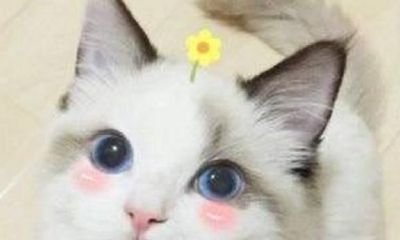 测试是否有人暗恋你（测测在班上有没有人暗恋你）