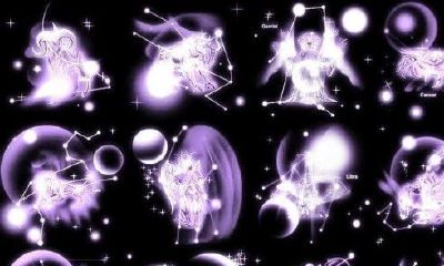 星座的爱情特点（十二星座特点和性格）