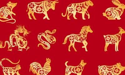 出生年月属相对照表（12生肖年份对照表）