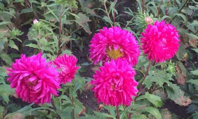 在梦里梦到一个人不认识的男人还喜欢上他（梦里梦到的陌生人真实存在吗）