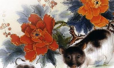 横财运红火的属相（十二生肖哪肖最有横财）