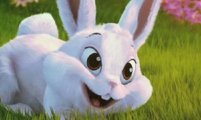 属兔的今年用什么颜色比较好（2023年属兔人穿什么颜色最旺）