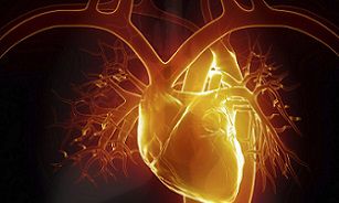 心脏不好面相有什么特征（属兔和什么属相最不合）