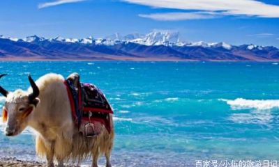 布达拉宫开光佛珠后需要注意什么（开光的佛珠不带应该放在哪里）