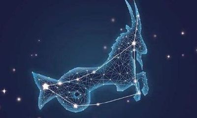 摩羯座跟什么座结婚（摩羯座和什么星座结婚）
