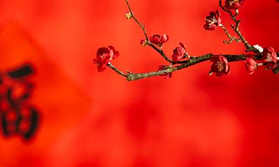 属虎的女的幸运色（86属虎2023年感情和桃花运）