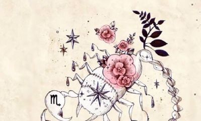 金牛座的星座符号（金牛座星象图）