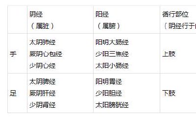 以星宿命名的经络有哪些（二十八星宿命名的城市）