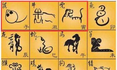 25岁属相是啥子（属蛇的和什么属相最配）