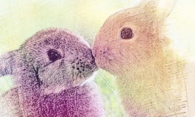 为什么有属相相冲（12生肖相冲）