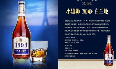 狮子座和什么酒（狮子座能吃定哪个星座）