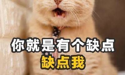 天秤座和处女座怎么相处（天秤座和天秤座在一起）