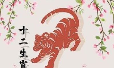 2023年属虎的运势1998年（98年属虎在哪里发展）