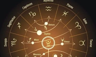 星盘几宫代表母亲（月亮星座看母亲的外貌）
