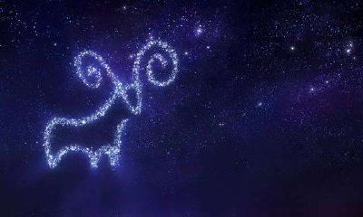 阴历9月9日出生的是什么星座（1月8日是什么星座）