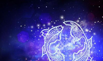 双鱼座喜欢的星座是哪个（白羊座和什么座最配）