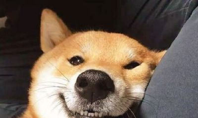 管姻缘的神仙都有谁（断人姻缘的神仙叫什么）