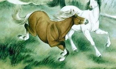 2024年属龙的是什么命几月份最好（属猴几月份出生最好命）