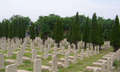 风水专家论墓地风水十大禁忌（墓地风水不好怎么化解）