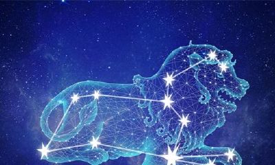 属马白羊座2023年幸运色（属马幸运色是什么颜色2023）