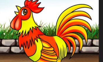 属鸡的生肖有哪些年份（生肖属鸡的年份表）