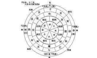 电脑八字运程（电脑运程免费算命网）