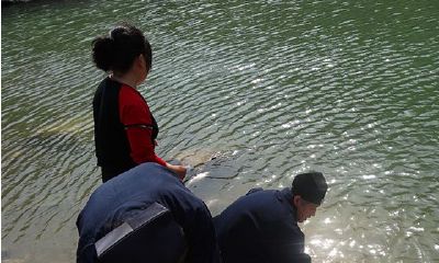 开光法物免费结缘（普陀寺开光法物）