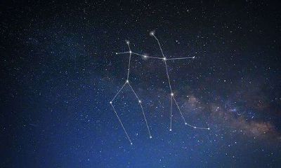 天生聪明的六大星座是什么有狮子座吗（最聪明的星座）