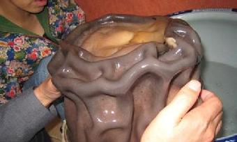 太岁怎么分辨真假（鉴定石太岁最简单的方法）