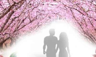 什么叫阴桃花运（什么叫桃花运）