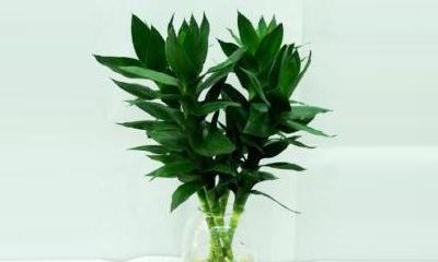 用铜钱聚财阵法图（铜钱招财进宝）