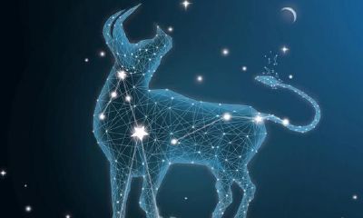 金牛座不开心怎么哄（怎么哄金牛座女生开心）