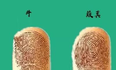 手相图解大全十个斗（十个斗的女人财运好吗）