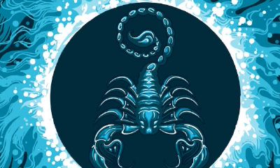 狮子座处女座天秤座哪个有拖延症（天秤座为什么欣赏狮子座）