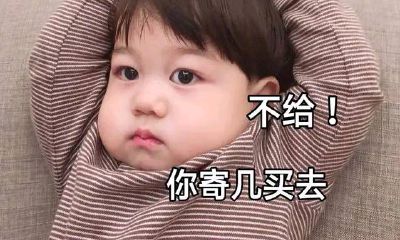 十二星座守护神兽龙（十二星座蛋糕）