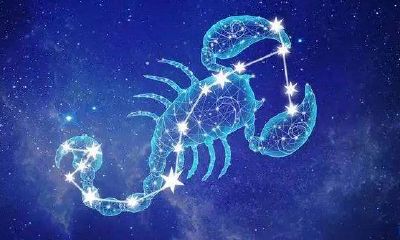 天蝎座下月运势如何（天蝎座未来一个月运势）