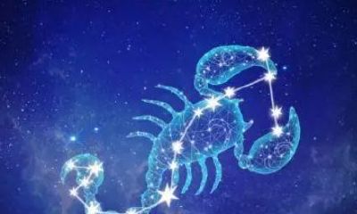 天蝎座什么性格特点（天蝎座的人什么性格）